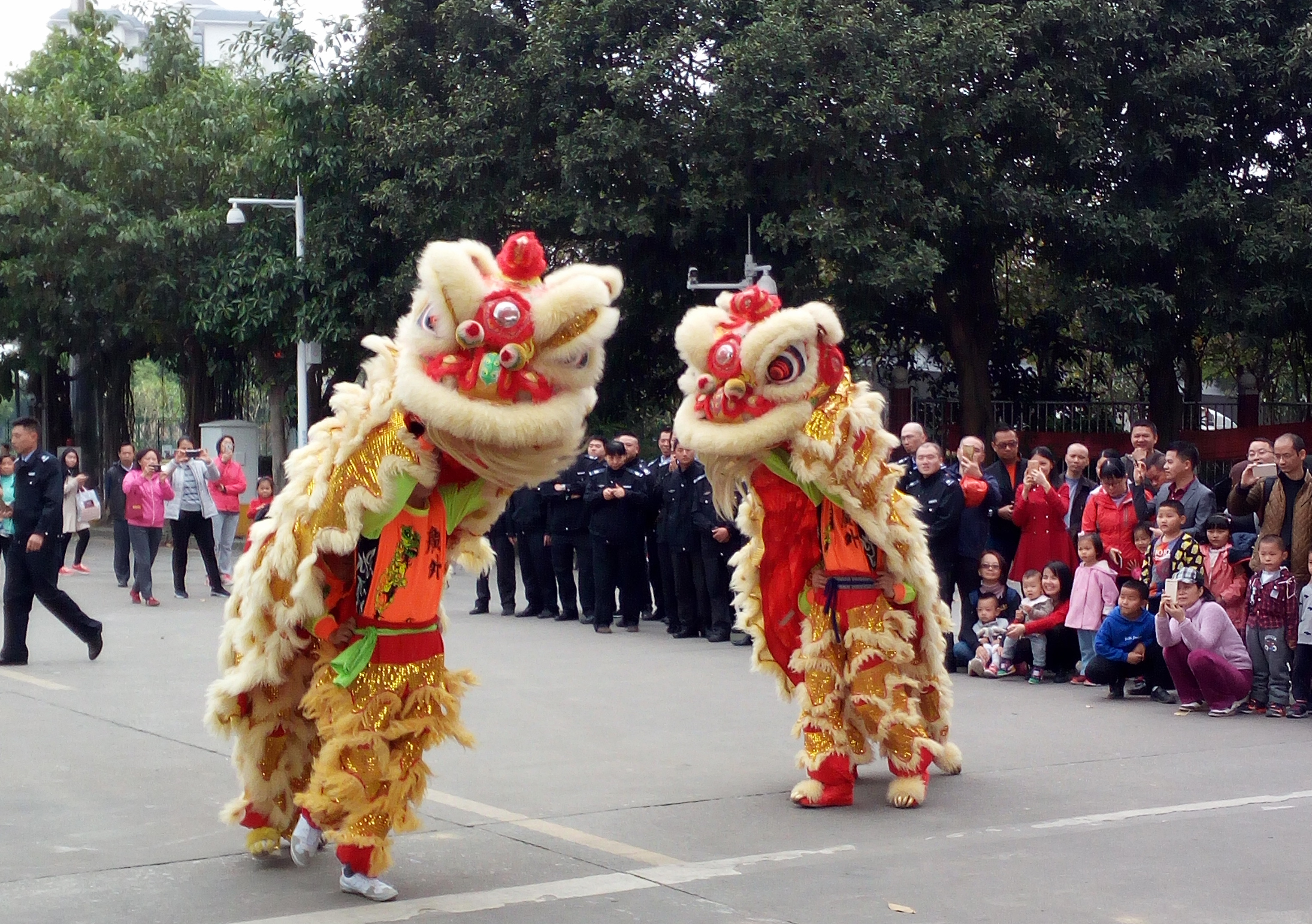 醒狮贺岁迎新年