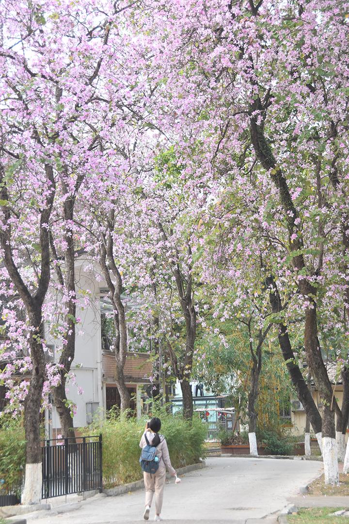 同学们,一起开启新学期吧!.jpg 同学们,一起开启新学期吧!.jpg
