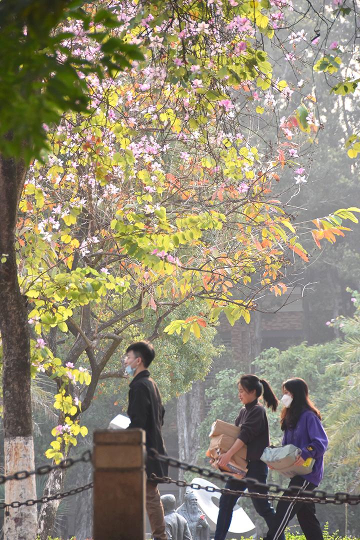 新学期~1.JPG 新学期~1.JPG