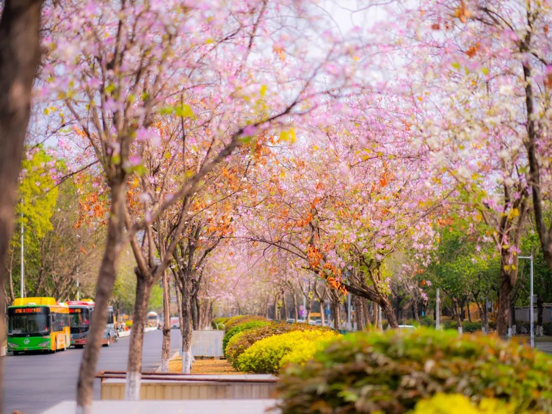 春和景明.jpg